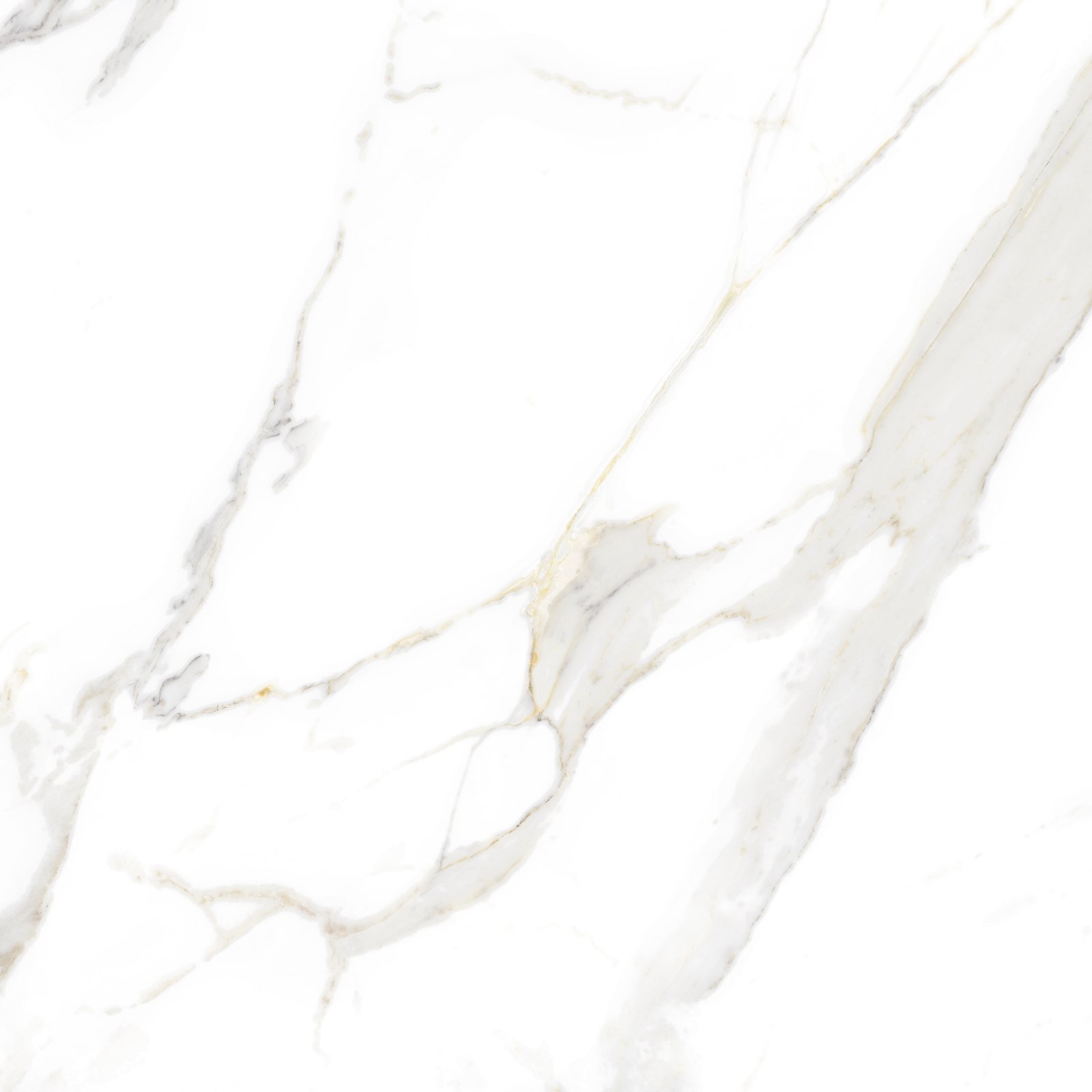 PLATINUM 60X60 SHELDON GREY REC